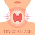 Thyroid gland in a pain target