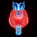 Thyroid gland, ultrasound hologram isolated on black background. Ultrasound diagnostics, thyroid diseases. 3D render, 3D