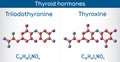 Thyroid hormones: Triiodothyronine, T3, levothyroxine and Thyroxine, T4 molecule. Used to treat hypothyroidism. Molecule model