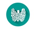 Thyroid icon vector.Human internal organ