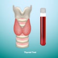 Thyroid Test. Medical Symbol Of Endocrinology System Or Hormone Secretion. Vector Illustration.