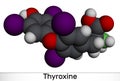 Thyroxine, T4, levothyroxine molecule. It is thyroid hormone, prohormone of thyronine T3, used to treat hypothyroidism. Molecular