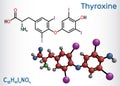 Thyroxine, T4, levothyroxine molecule. It is thyroid hormone, prohormone of thyronine T3, used to treat hypothyroidism. Structural