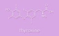 Thyroxine (T4, levothyroxine) thyroid hormone molecule. Prohormone of thyronine (T3). Used as drug to treat hypothyroidism.