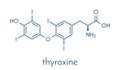Thyroxine T4, levothyroxine thyroid hormone molecule. Prohormone of thyronine T3. Used as drug to treat hypothyroidism..