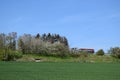 ThÃÂ¼r, Germany 04 19 2022: truck passing behind spring blooming trees