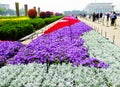 Tian'anmen Square flower beds