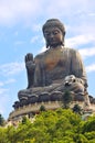 Tian Tan Buddha Royalty Free Stock Photo