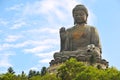 Tian Tan Buddha Royalty Free Stock Photo