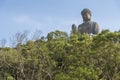 Tian Tan Buddha statue in Hong Kong, China