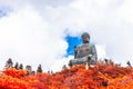 Tian Tan Buddha, Big Budda, The enormous Tian Tan Buddha at Po Lin Monastery in Hong Kong Royalty Free Stock Photo