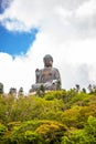 Tian Tan Buddha, Big Budda, The enormous Tian Tan Buddha at Po Lin Monastery in Hong Kong.