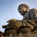 Tian Tan Buddha Royalty Free Stock Photo