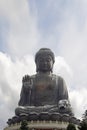 Tian Tan Buddha Sitting on Lotus Throne Closeup