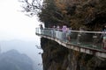 Tianmen Shan Cliff walk