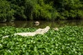 Tianmu Lake scenery Royalty Free Stock Photo