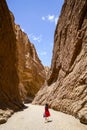 Visitor in Tianshan Grand Canyon in sunny day Royalty Free Stock Photo