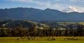 Tianshan mountain scenery