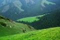 Tianshan mountain scenery