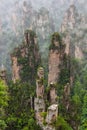 Tianzi Avatar mountains nature park - Wulingyuan China