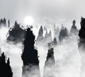 Tianzi Mountains or Avatar Mountains in the Zhangjiajie Forest Park covered with fog with sun shining through it.. Hunan