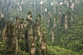 Tianzi Mountains, Zhangjiajie National Forest Park, Hunan Province China