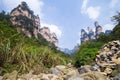 Tianzi Shan Mountain Peak in Zhangjiajie