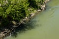 The Tiber River runs through the city of Rome. The waterfalls of the river refresh the seagulls.