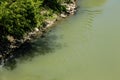 The Tiber River runs through the city of Rome. The waterfalls of the river refresh the seagulls.