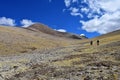 Tibet, China, June, 12, 2018. Summer landscape at an altitude of more than 5000 meters. On the way to the source of Ind river in T