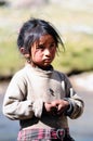 Tibet girl prayer in jokhang temple