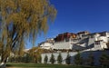 Tibet Potala Palace Royalty Free Stock Photo