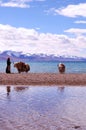 Tibet's snow mountains Royalty Free Stock Photo