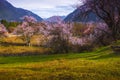 Tibet's spring Royalty Free Stock Photo