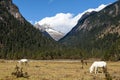 Tibet scenery