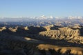 Tibet: zanda clay forest