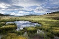 Tibetan alpine grassland Royalty Free Stock Photo