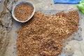 Tibetan apricot seed drying on roof top for oil production and eating