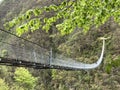 Tibetan bridge Carasc or Ponte Tibetano Valle di Sementina or Tibetische Brucke Carasc, Monte Carasso