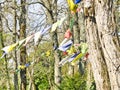 Tibetan Buddhism prayer flags with Om Mani Padme Hum Buddhist mantra prayer written on them are waved by the wind Royalty Free Stock Photo