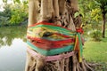 Tibetan Buddhist prayer flags around tree Royalty Free Stock Photo