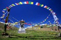 Tibetan buddhist prayer flags and stupa on wild flower field in Royalty Free Stock Photo