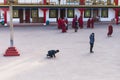 Tibetan Buddhist tourist bow his body in front of Rumtek Monastery after high level monk arrived near Gangtok. Sikkim, India.