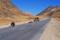 Tibetan Buddhists pilgrimage route