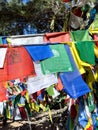 The Tibetan Buddhists prayer flag point above Dharamkot, Dharamshala Royalty Free Stock Photo