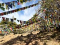 The Tibetan Buddhists prayer flag point above Dharamkot, Dharamshala Royalty Free Stock Photo