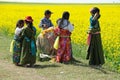 Tibetan children in seed field Royalty Free Stock Photo