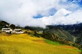 Tibetan cottage in barley field Royalty Free Stock Photo