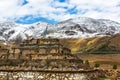 Tibetan style houses