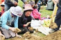 Tibetan Farmer